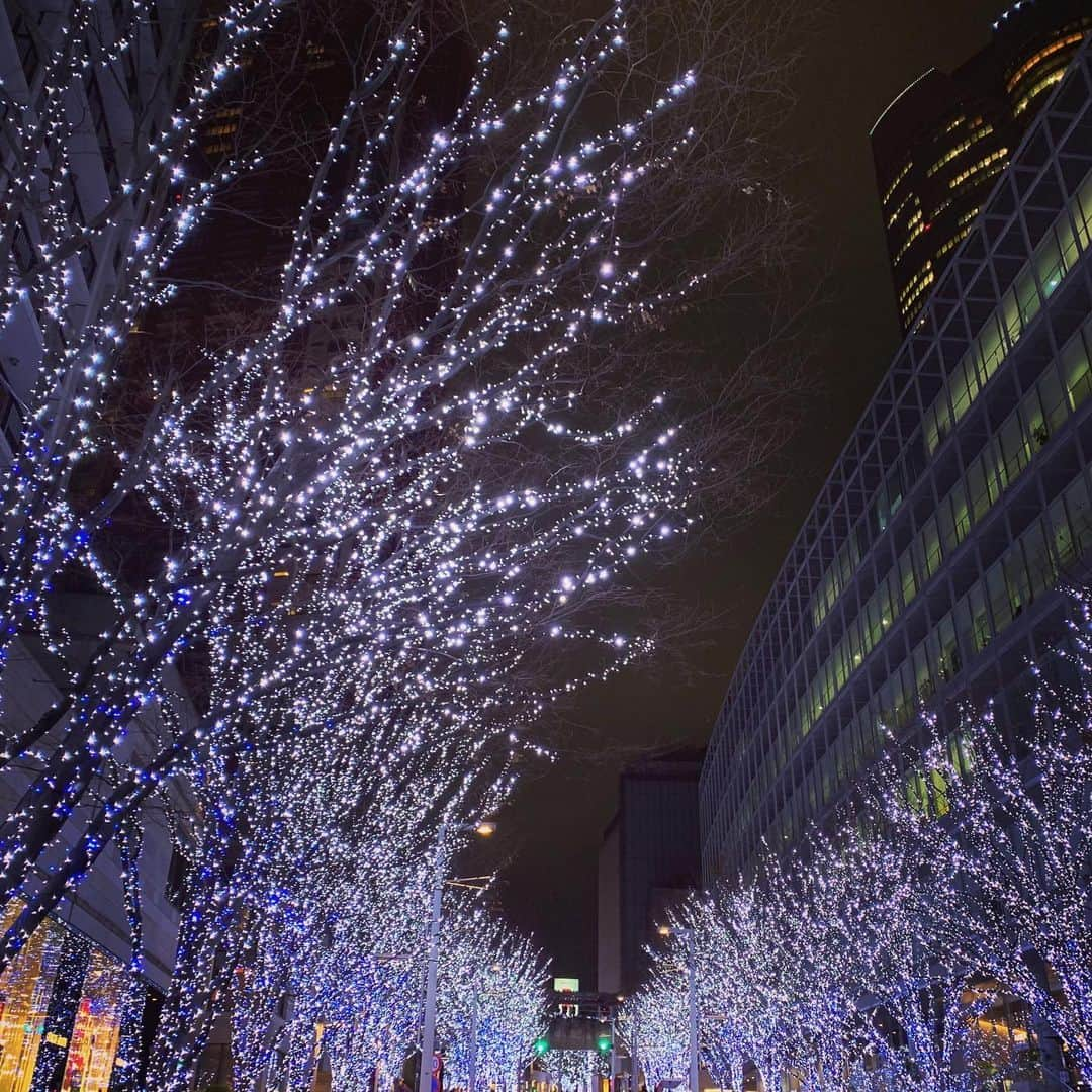 土屋太鳳さんのインスタグラム写真 - (土屋太鳳Instagram)「クリスマスも過ぎて いよいよ年末！！！ 少しずつゆっくり出来そうなかた、 これからが忙しいかた、 進路など大切な節目に向かうかた、 人それぞれの過ごし方があると思うのですが どうか身体にだけは気をつけて 充実した時間をお過ごしください🙏✨ . そんな年末に、来年へ向けての とてもとても嬉しいお知らせを😊 . 池井戸潤先生の小説『鉄の骨』を原作とした 2020年4月スタートの『連続ドラマＷ 鉄の骨』に 野村萌役として出演いたします！ WOWOWプライムでの放送です。 ４年ぶりのWOWOWさんの現場、 とても嬉しい✨ . 主演は ずっとご一緒したかった #神木隆之介 さん。 映画「るろうに剣心」の 京都大火編と伝説の最期編で 御一緒したことはあるのですが あまりにも短時間だったので いつかもっと長く御一緒したくて。 だからすごく嬉しいです！ . キャストの方々も発表されて 尾形総司役に #内野聖陽 さん、 西田吾郎役に #中村獅童 さん、 柴田理彩役に #小雪 さん、 私が演じる萌の上司、 園田俊一役に #向井理 さん、 三橋萬造役に #柴田恭兵 さん、 そして、内藤肇役に #石丸幹二 さん。 凄いです…書いてるだけで震えそう。 . 私が演じる萌は、かなりの曲者な予感。 心して立ち向かいたいと思います。 . 今日は ちょっと東京らしい写真を✨」12月26日 23時26分 - taotsuchiya_official