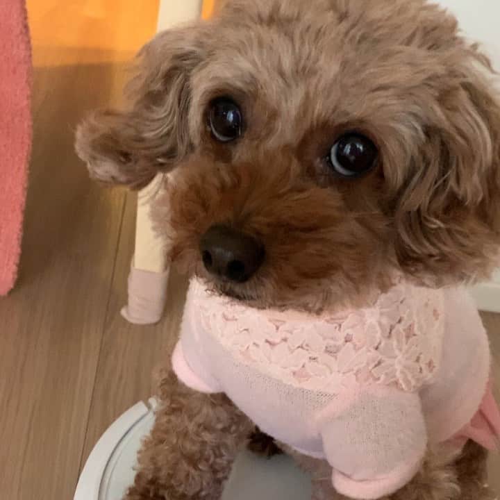 荒生暁子のインスタグラム