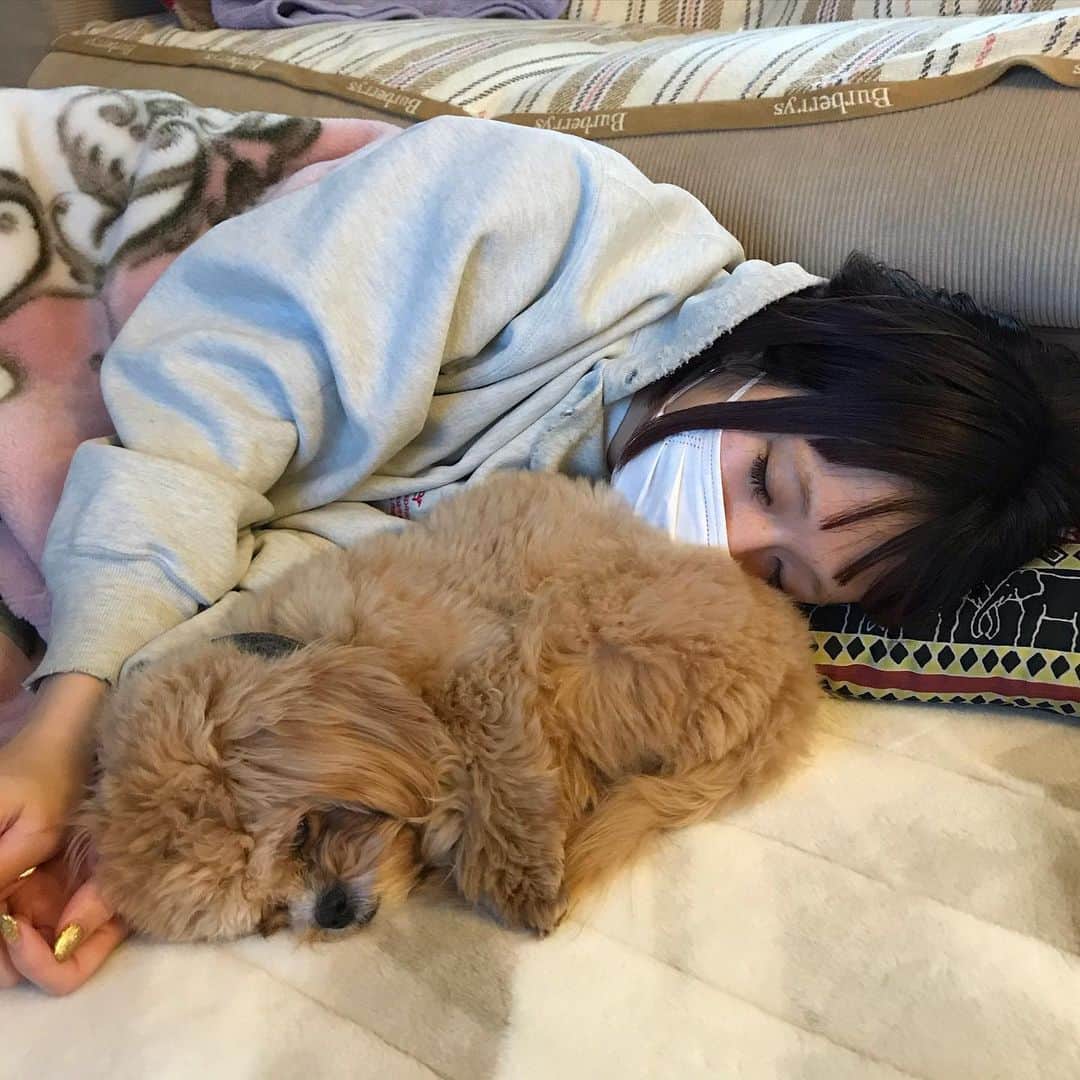 Manitasのインスタグラム：「家族とまったりゆっくり過ごす2019冬。 心がぽかぽかする。しあわせ〜〜〜 #犬がいる生活」