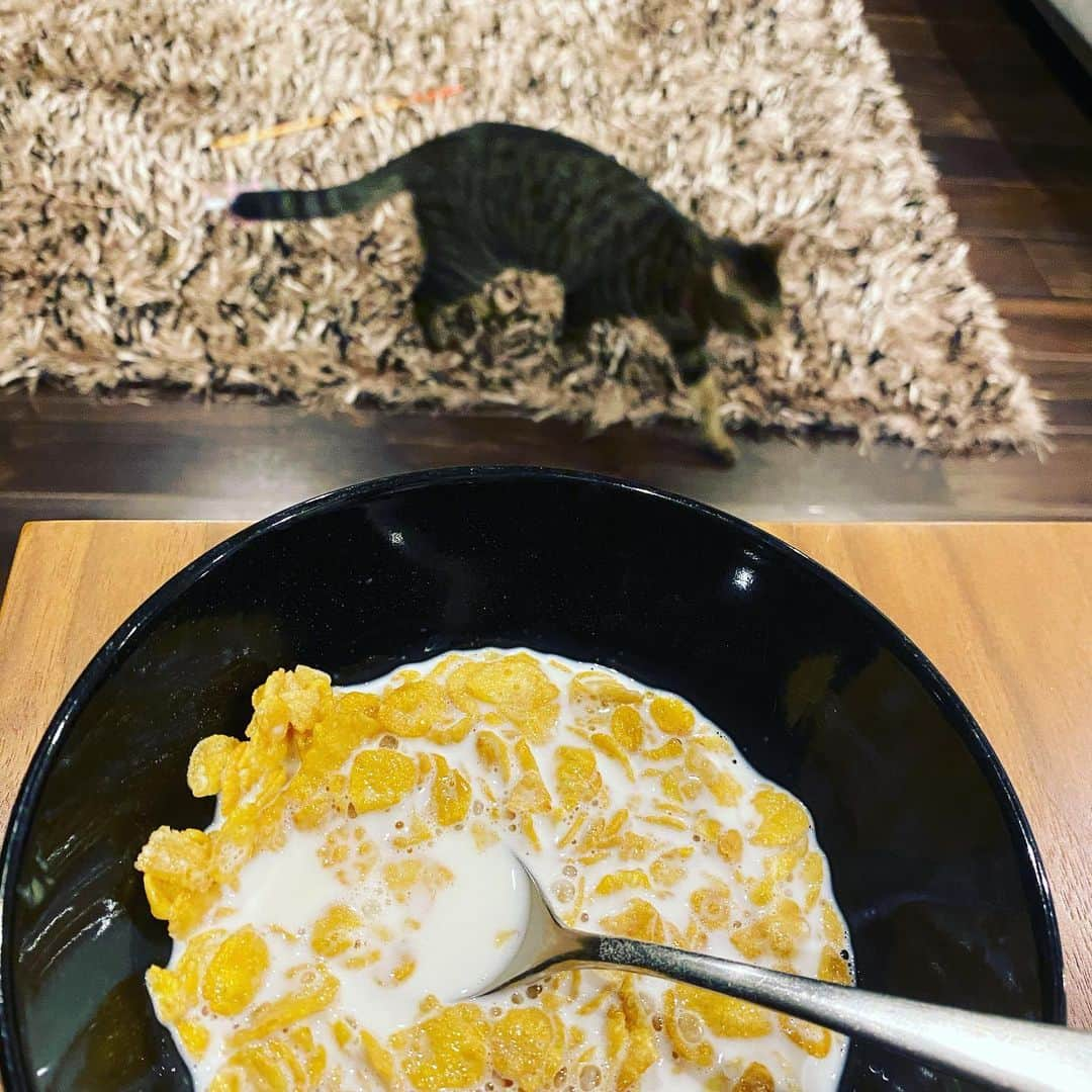 川上洋平さんのインスタグラム写真 - (川上洋平Instagram)「I'm home.  #cornflakes  #理由は聞かないで #わかるでしょう  #美味い  #ビルボードライブ最高だった」12月27日 0時27分 - yoohei_alexandros