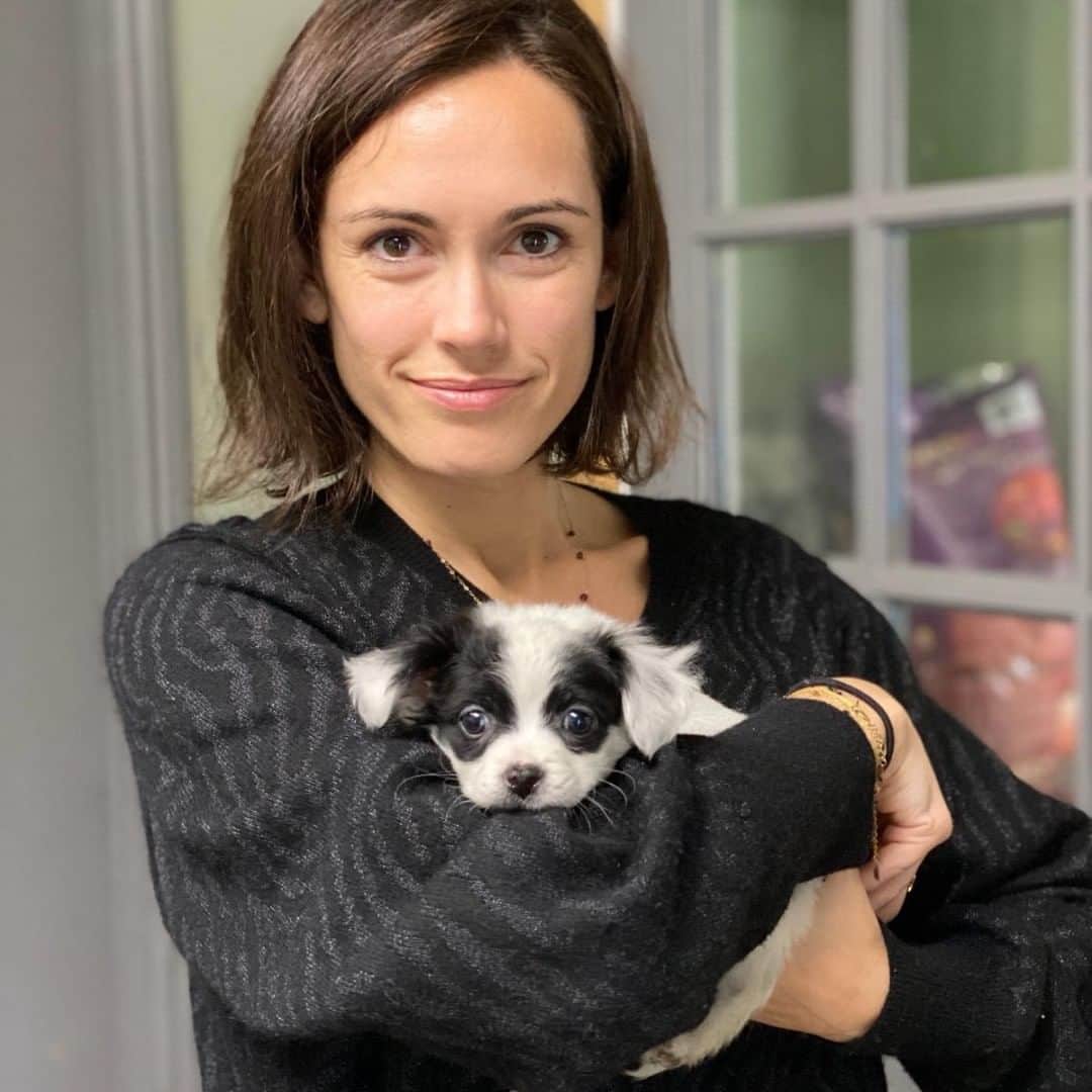 Leslie Camila-Roseのインスタグラム：「❤️ Flash will always be in our hearts, guiding us.  Meanwhile, this one will learn to pee on a puppy pad...!🎄🤗 Welcome to the family Gnocchi. 🐼」