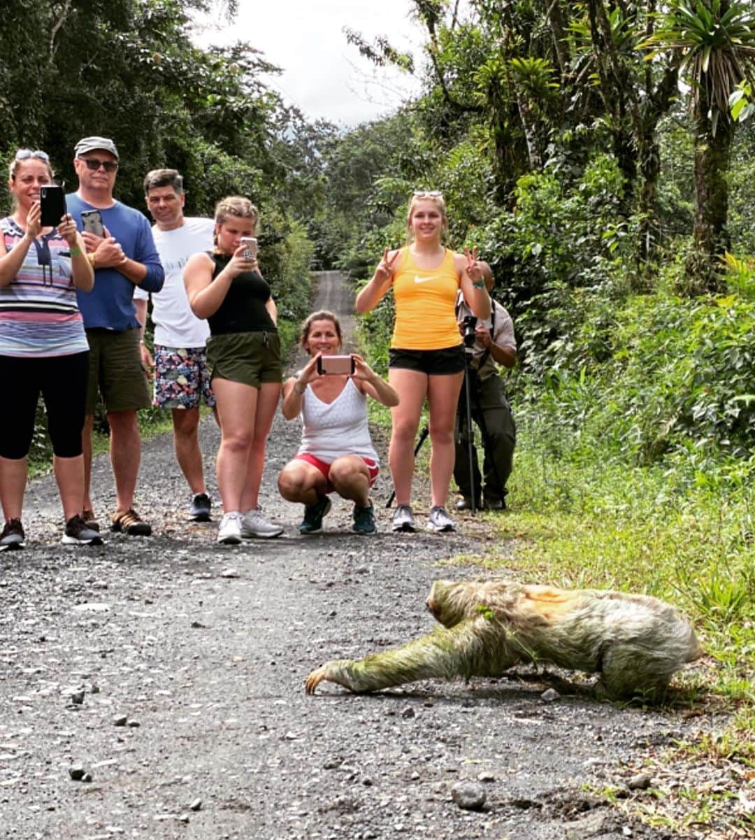 アダム・シャンクマンさんのインスタグラム写真 - (アダム・シャンクマンInstagram)「The head spinning beauty of the #costarica #rainforest was only matched by the weirdness of the local #slotharazzi. (Swipe right!) Also, it took so long for the sloth to cross this path I came up with 283 different “why did the sloth cross the road” jokes before he disappeared into the magical foliage. Toilet side novelty book; imminent.  #junglove #slotharazzi #monkeybusiness  #rainforestrave」12月27日 1時12分 - adamshankman