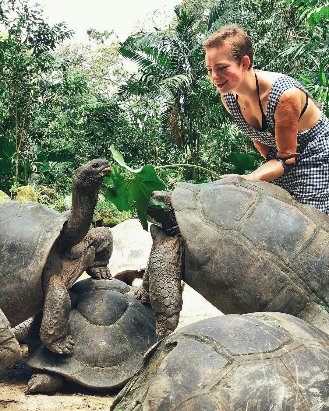 ベアトリーチェ・ヴィオのインスタグラム：「E se dovesse andare male con la scherma... ho un futuro come turtle-sitter! 🐢😍 • • • #costagrammer #costamediterranea @costacruisesofficial」