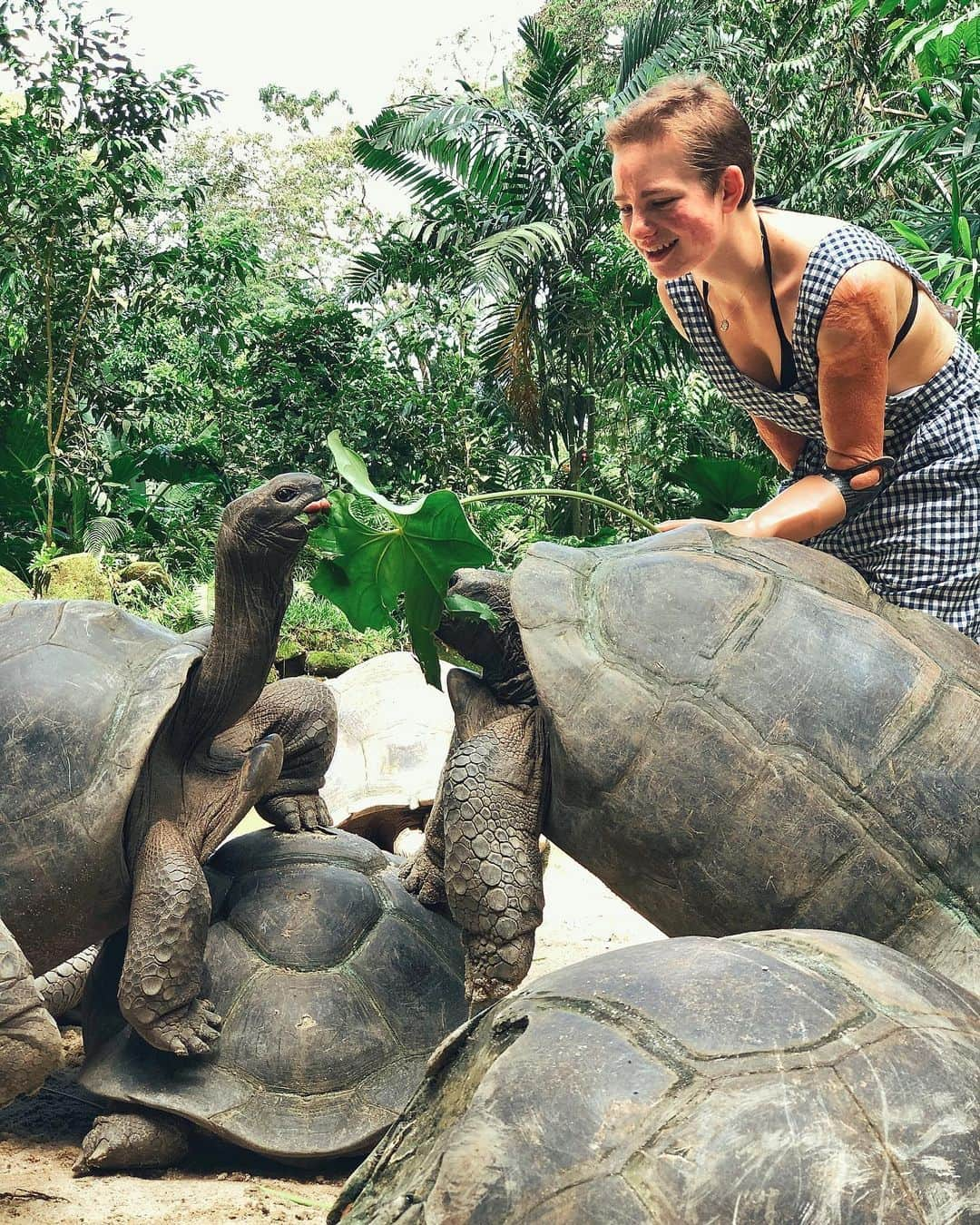 ベアトリーチェ・ヴィオさんのインスタグラム写真 - (ベアトリーチェ・ヴィオInstagram)「E se dovesse andare male con la scherma... ho un futuro come turtle-sitter! 🐢😍 • • • #costagrammer #costamediterranea @costacruisesofficial」12月27日 2時14分 - bebe_vio