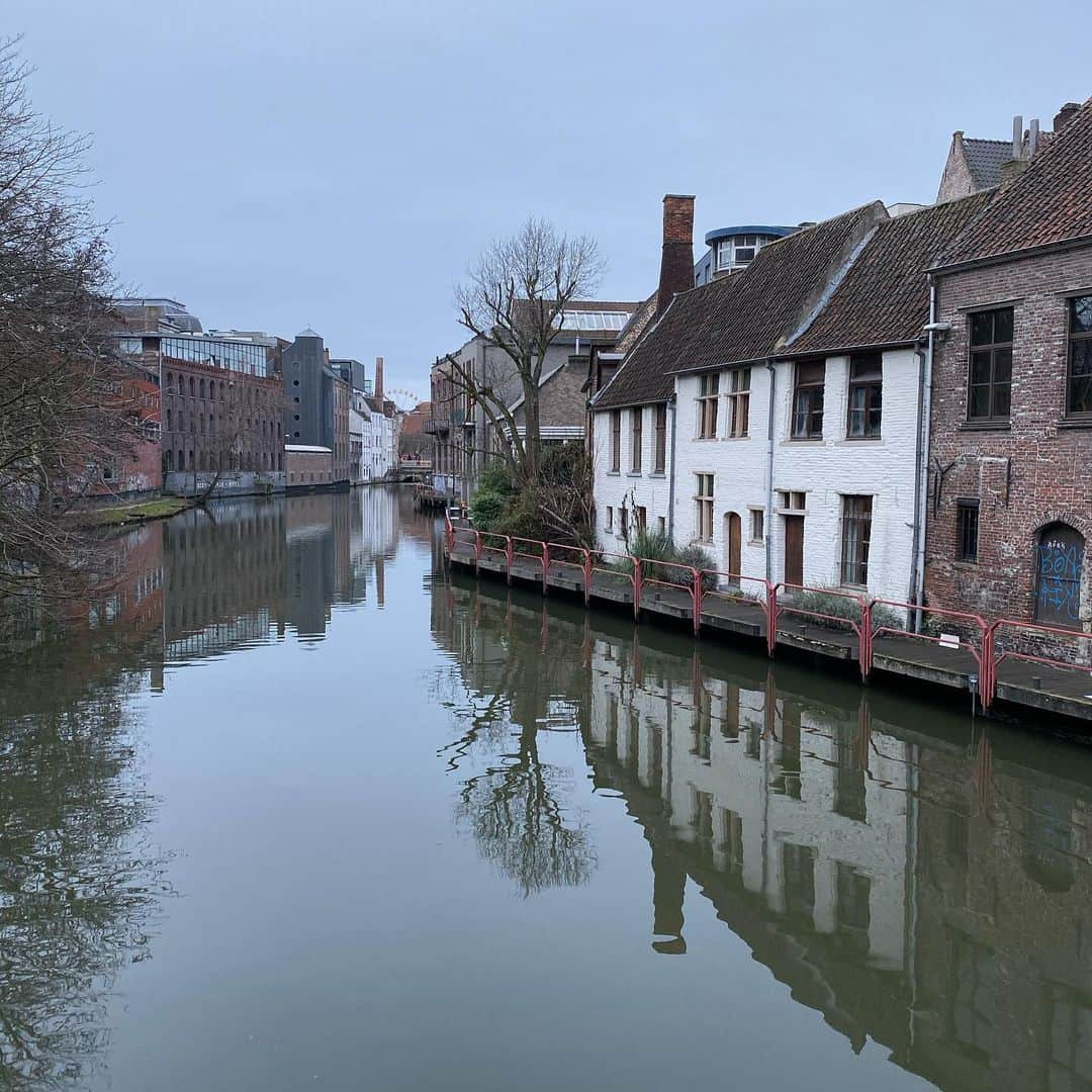 レベッカ・ウィソッキーさんのインスタグラム写真 - (レベッカ・ウィソッキーInstagram)「The light in Ghent! Everywhere I look- a painting.」12月27日 2時24分 - rebeccawisocky