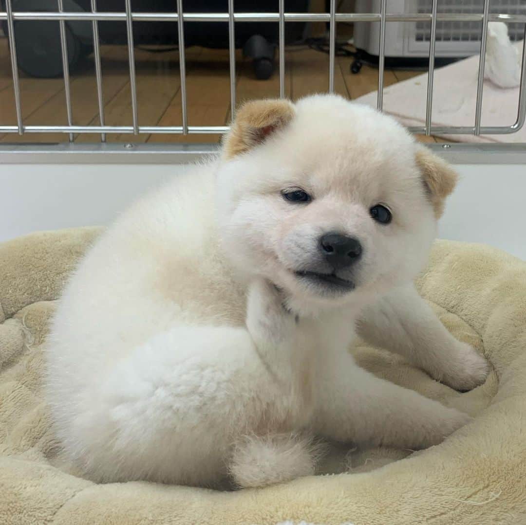 くろのグルメインスタ