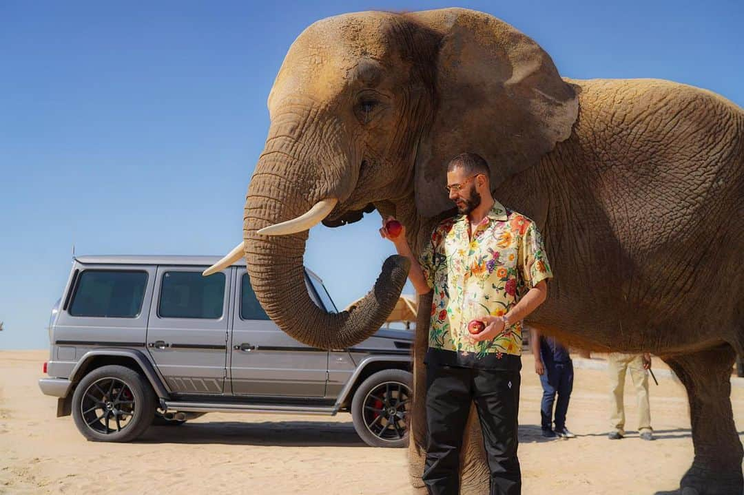 カリム・ベンゼマさんのインスタグラム写真 - (カリム・ベンゼマInstagram)「On contrôle la nezo 🐘⚔️」12月27日 4時41分 - karimbenzema