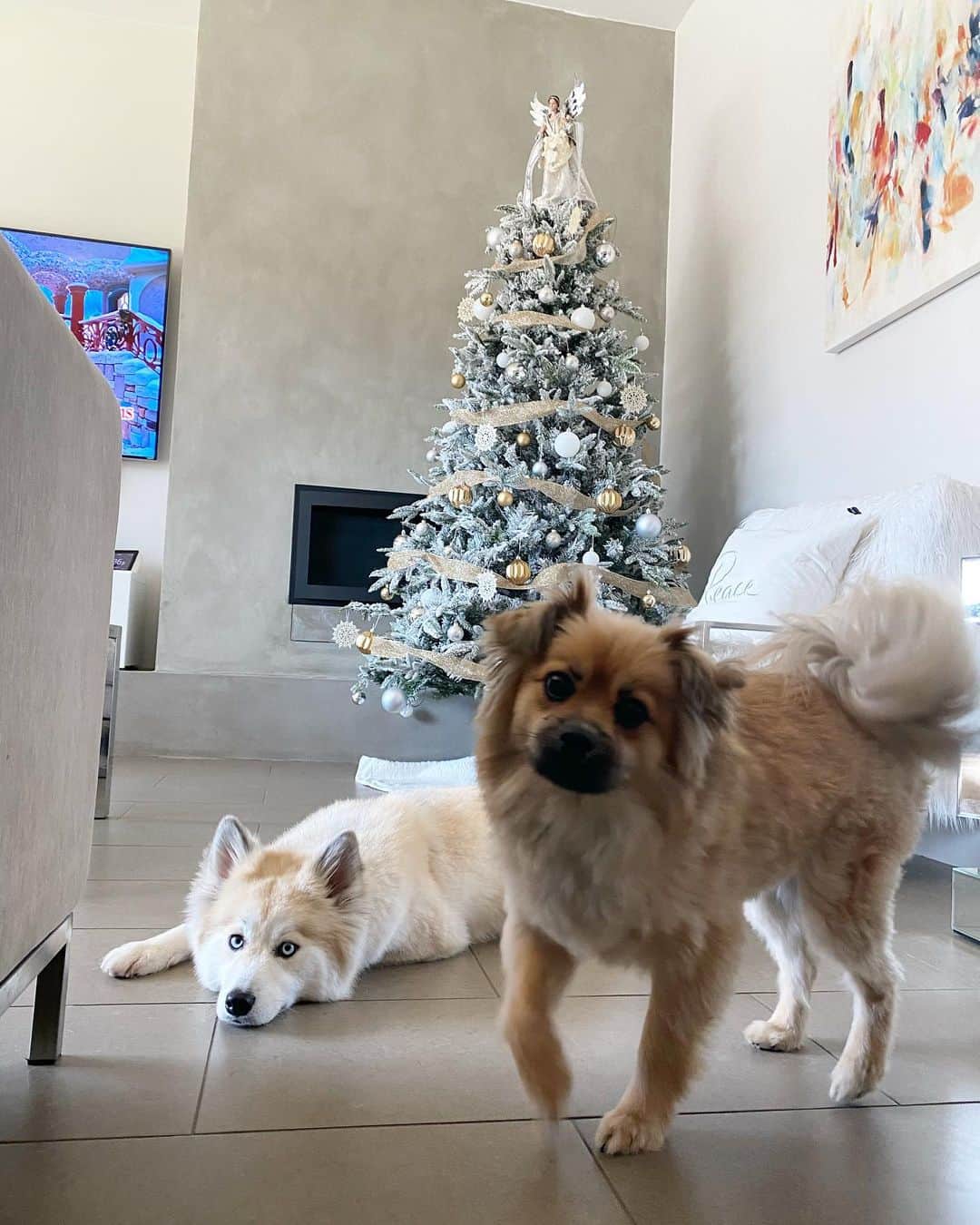 カルロス・コレアのインスタグラム：「My Handsome Angels love the holidays because daddy is home most of the time 🥰❤️」