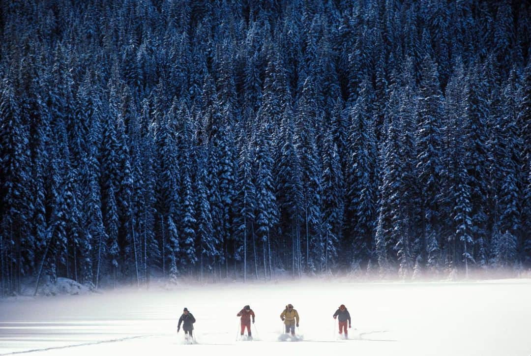 Michael Yamashitaさんのインスタグラム写真 - (Michael YamashitaInstagram)「Going cross country, #Hokkaido #Japan. #xcountryskiing #crosscountryskiing #wintertime #skiing」12月27日 5時31分 - yamashitaphoto
