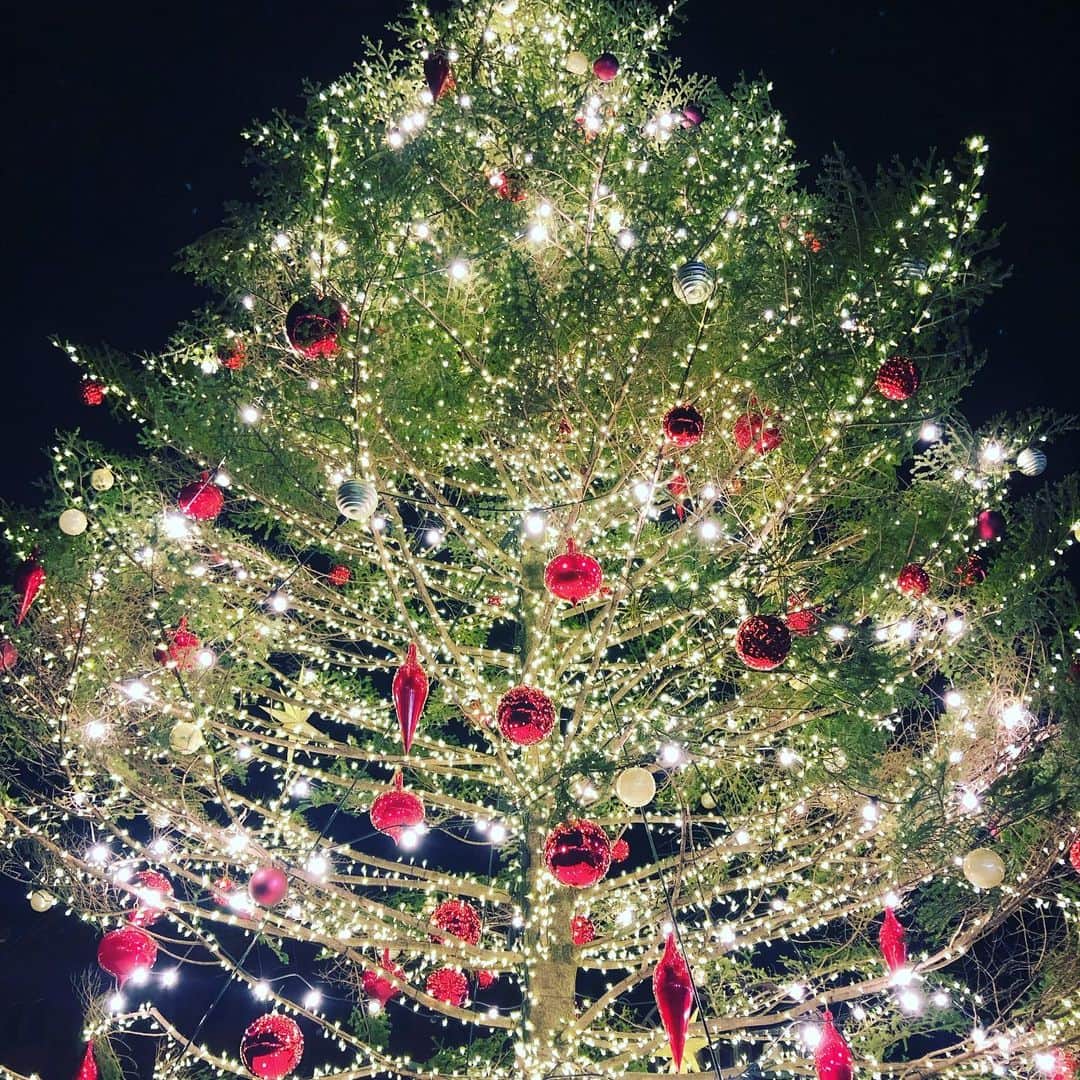 白珠イチゴさんのインスタグラム写真 - (白珠イチゴInstagram)「綺麗な世界は終わりました。  #クリスマス #クリスマスツリー  #クリスマス飾り  #クリスマスマーケット」12月27日 5時59分 - shiratamaichigo