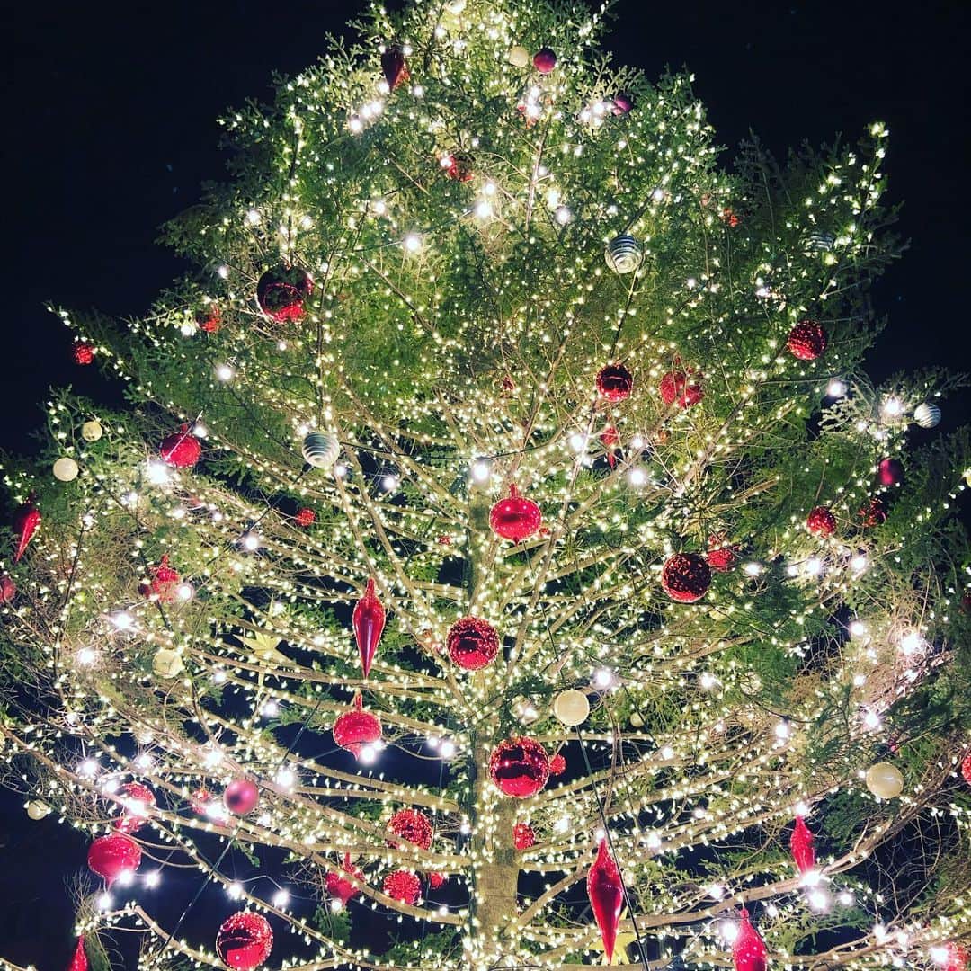 のインスタグラム：「綺麗な世界は終わりました。  #クリスマス #クリスマスツリー  #クリスマス飾り  #クリスマスマーケット」