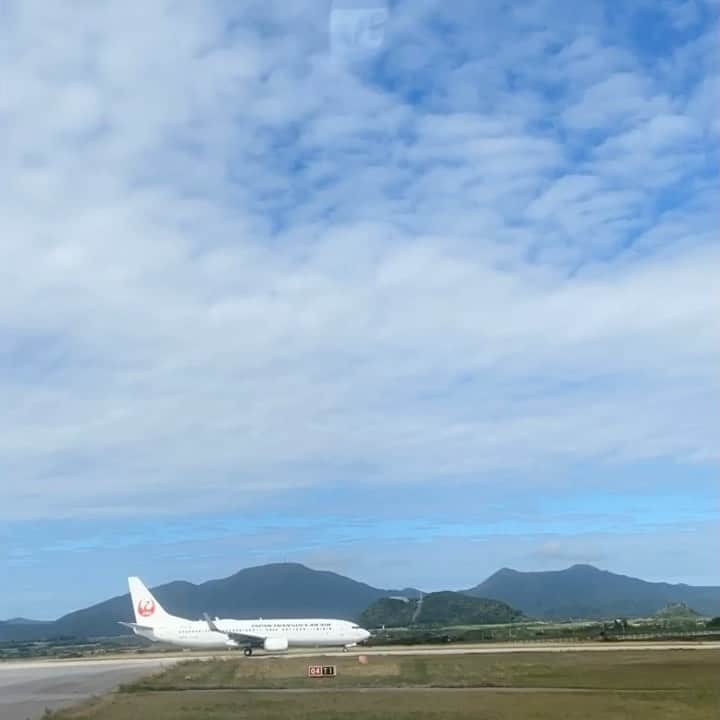 石垣島ウシ子のグルメインスタ