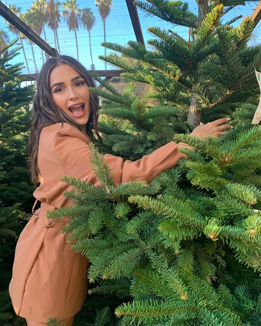 オリビア・カルポさんのインスタグラム写真 - (オリビア・カルポInstagram)「When your mom says it’s time to take down the Christmas tree 😟#neverletgo」12月27日 6時52分 - oliviaculpo