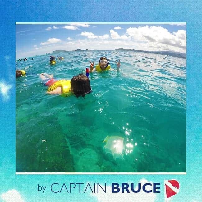 Luxury Cruise by Captain Bruceさんのインスタグラム写真 - (Luxury Cruise by Captain BruceInstagram)「年末年始はたくさんのファミリーでにぎやかです^^⁠ 天国の海でのんびり 🌺⁠ ⁠ #captainbruce #sandbar #kaneohe #hawaii #oahu #oahulife #vacation #travel #ahuolaka #reset #キャプテンブルース #天国の海ツアー #天国の海 #アフオラカ #ハワイ大好き #オアフ島 #絶景 #海」12月27日 8時37分 - cptbruce_hi