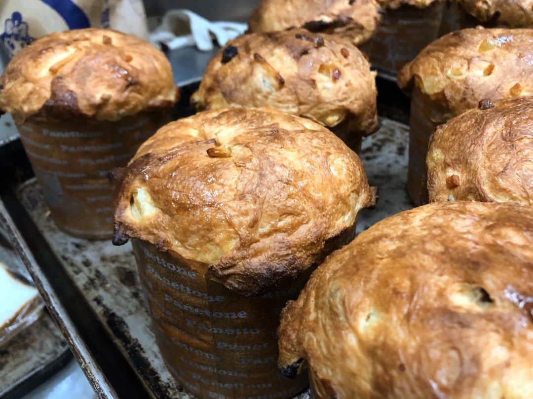 笹塚駅のパン屋さん オパンのグルメインスタ