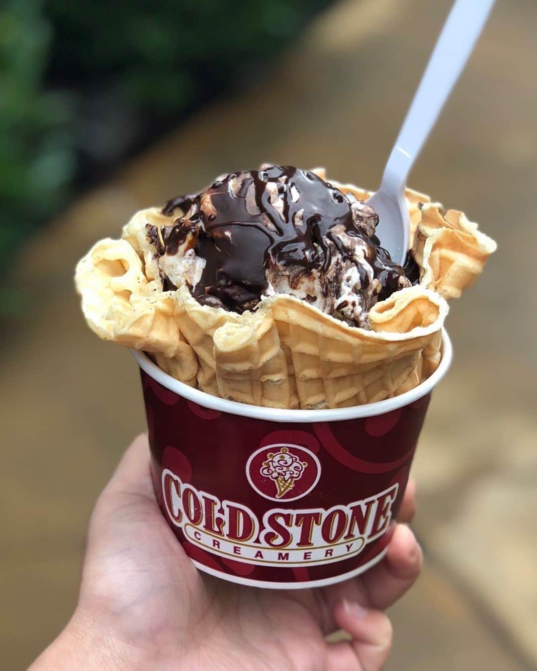 コールド・ストーン・クリーマリーのインスタグラム：「Which Signature Creation is your favorite? 😋」