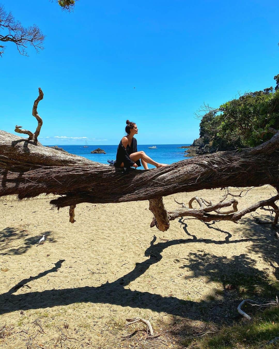 エミリー・DiDonatoのインスタグラム：「Risking my life over here in New Zealand for the gram 😉」