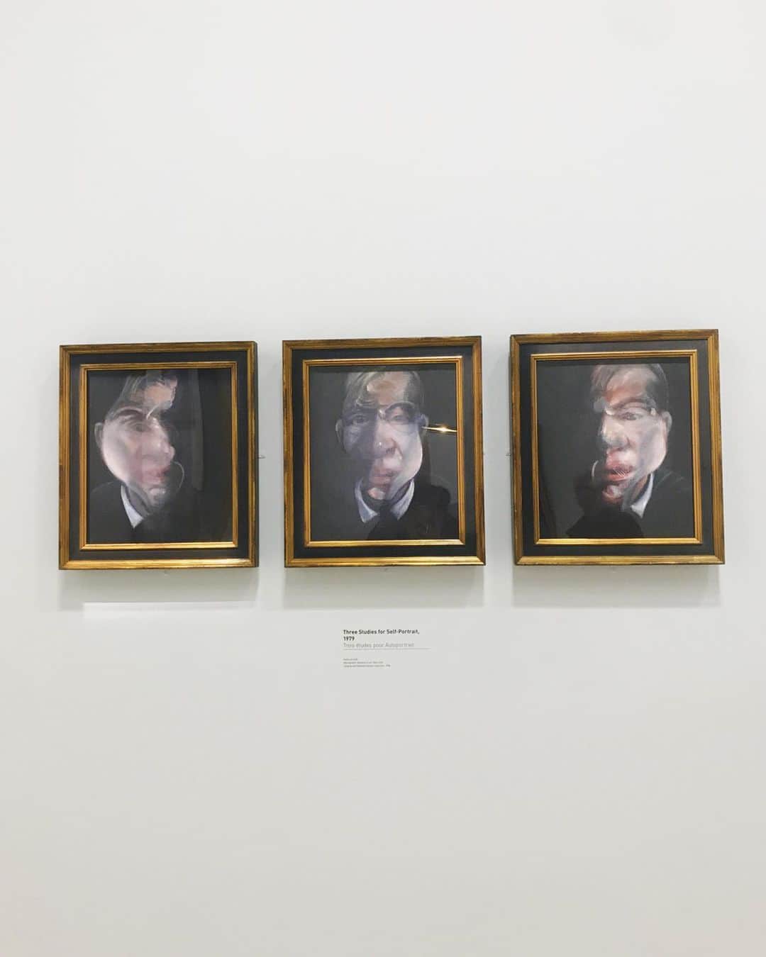 木野園子さんのインスタグラム写真 - (木野園子Instagram)「Francis Bacon かっこよかった。めちゃくちゃ綺麗って表現があってるかわからないけど。綺麗。好き。 そして、ポンピドゥー好き🎨  #france #paris #centrepompidou #FrancisBacon #フランス #パリ #ポンピドゥーセンター #フランシスべーコン #art #contemporaryart #アート #現代アート #🇫🇷 #🎨」12月27日 11時11分 - kinosonoko