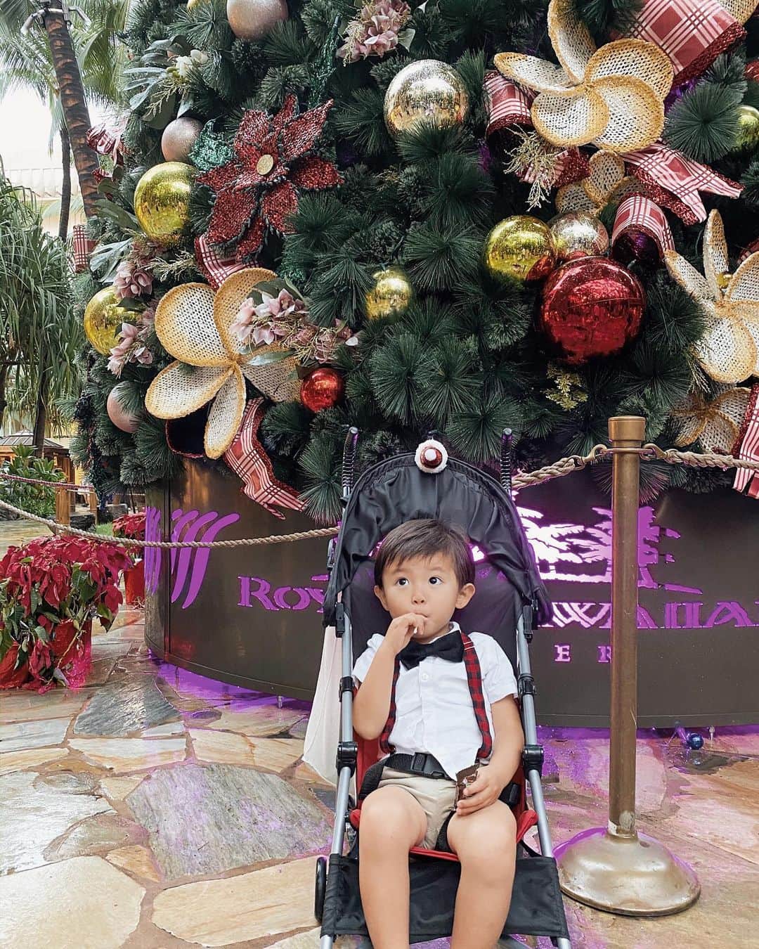 中川珠里さんのインスタグラム写真 - (中川珠里Instagram)「.﻿ うちは最近、ベビーカーから降りないタイプ。﻿ 現地調達したサスペンダーとタイで﻿ クリスマス仕様にしてみたよ🖤﻿ #2歳#boy#子連れハワイ」12月27日 11時35分 - juri1104