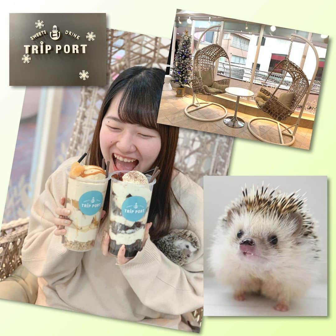 ラド&ティンクさんのインスタグラム写真 - (ラド&ティンクInstagram)「* 羊毛ティンクを連れて飼い主🅱️と一緒にランチに 原宿駅徒歩0分の（駅前の横断歩道渡って5秒のビルに入ってる可愛いcafe * * TRIP PORT SWEET & DRINK @tripport_sweetsdrink  に行ってきました👍 ・ #ツインカップ は2枚目を見るとわかるけど、 スムージー 、パフェ 、ドリンク から 2種類選べるの😊 どっちか悩んじゃう優柔不断さんにもぴったり👍 ・ 飼い主🅱️はティラミスパフェ  私はキャラメルパフェ そしてドリンクにショコラドリンクを選びました💕 ・ 店内もクリスマス仕様になってて、 季節毎に行きたくなるかも。 ・ 3Fにはスポーツバー @tripportpubcafe があって ランチ営業も開始したそう🍱💕 飼い主🅱️は選べる駅弁ランチ、すごく美味しそうなの選んでました。 私は定員さんお勧めの蟹のトマトクリームパスタを。 * * #tripport #スイーツ #原宿グルメ #原宿ランチ #食べ歩き #ツインカップ #スポーツbar #駅弁 #旅行 #pr」12月27日 21時43分 - rado_pompon