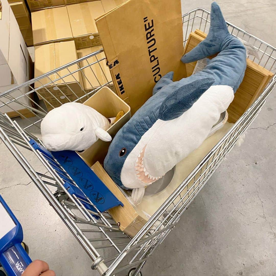 chisa1027さんのインスタグラム写真 - (chisa1027Instagram)「IKEA🦈🐋🐬🐋﻿ ﻿」12月27日 21時59分 - chisa1027