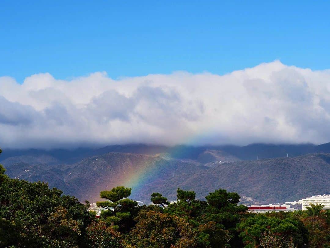 Sora Momoさんのインスタグラム写真 - (Sora MomoInstagram)「今朝の虹🌈 ☺︎ 山の方は雨が降ってるのかなぁ 雲の下だけ綺麗な虹🌈が見えました ☺︎ #虹#雲の下だけ#あっという間に消えちゃった#後でもう一度見えました#もう一度見えた虹はストーリーズに#何かいいことあるかな#そらももの空」12月27日 13時45分 - teratera_sorapu_