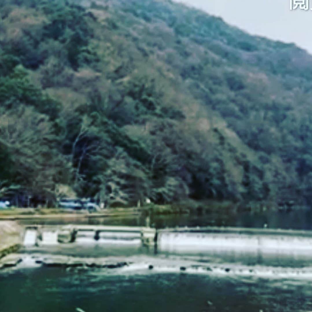 日出郎さんのインスタグラム写真 - (日出郎Instagram)「Togetsu-Kyo in kyoto  #日出郎 #渡月橋 #京都」12月27日 13時46分 - hiderou1030
