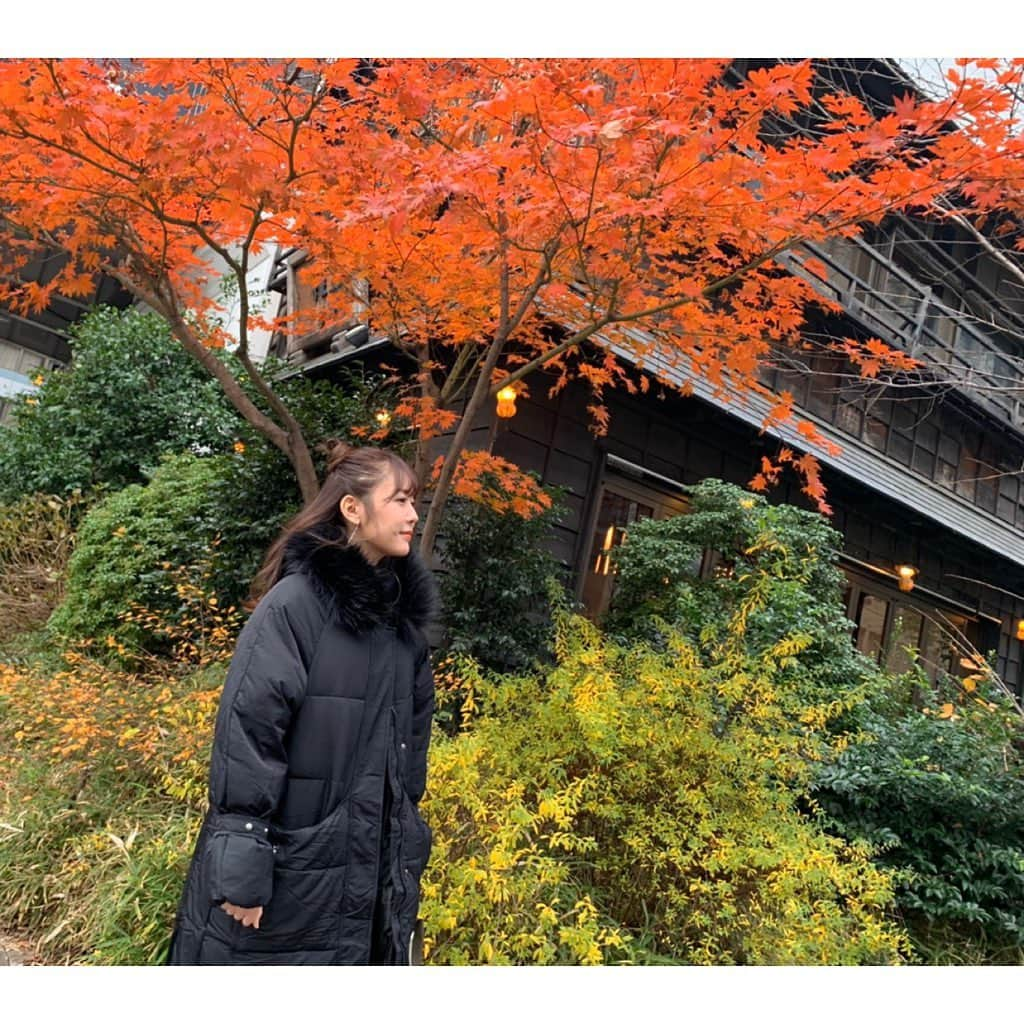 多田愛佳さんのインスタグラム写真 - (多田愛佳Instagram)「すっかり秋ですね🍂🍁 （昨日の写真） . . #秋 #いや #年末 #真冬  #冬は毎日眠い #冬眠したい」12月27日 15時17分 - lovetannnnnn