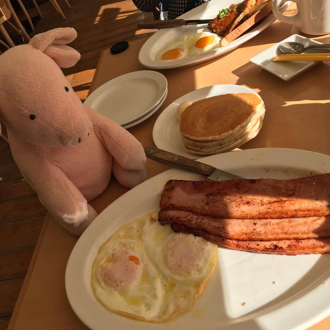 矢崎存美さんのインスタグラム写真 - (矢崎存美Instagram)「朝食のような昼食。生クリームタワーの勇気はなし(´ω｀;)。 #ぶたぶた #山崎ぶたぶた #矢崎存美 #さいたま新都心 #コクーンシティ #エッグスンシングス #ランチ」12月27日 15時21分 - yazakiarimi