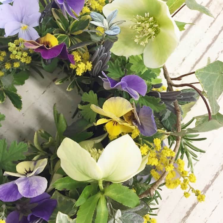 生活の木 メディカルハーブガーデン薬香草園【公式】のグルメインスタ