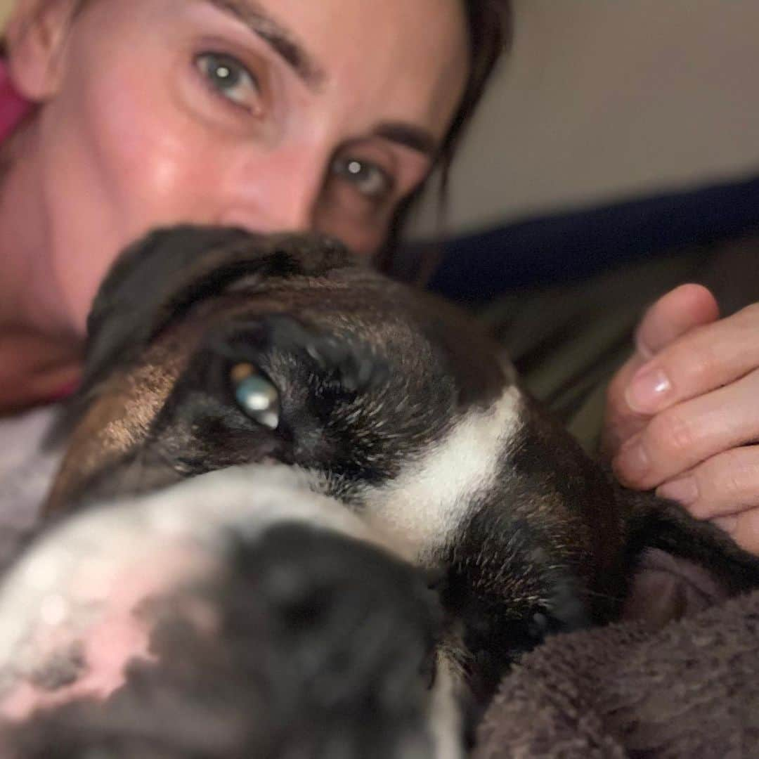 ターニャ・テイトさんのインスタグラム写真 - (ターニャ・テイトInstagram)「Someone is sleepy 🐶❤️ #boxerdog #millie」12月27日 15時38分 - tanyatate