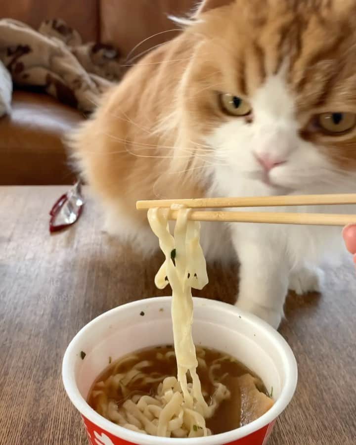 yayoi89のインスタグラム