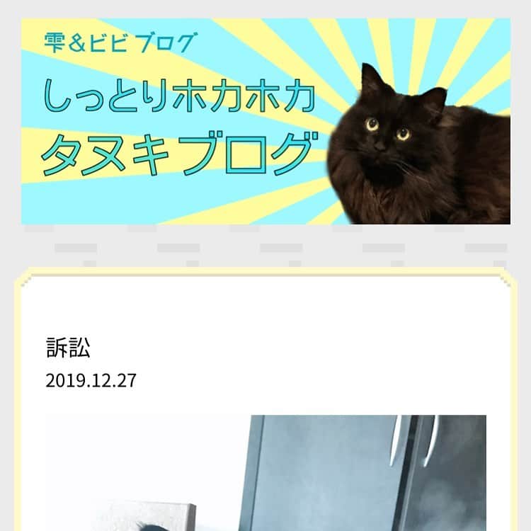 雫さんのインスタグラム写真 - (雫Instagram)「ブログ更新しました。みんなにポケモンの話をしてくれと言われたのでしたまでです、私は悪くないです。  そして、ビビの未公開の秘密について暴露してます。ファンクラブコンテンツやからな！わっはっは  感想は #半泣き黒猫団 で！」12月27日 16時17分 - plkshizuku