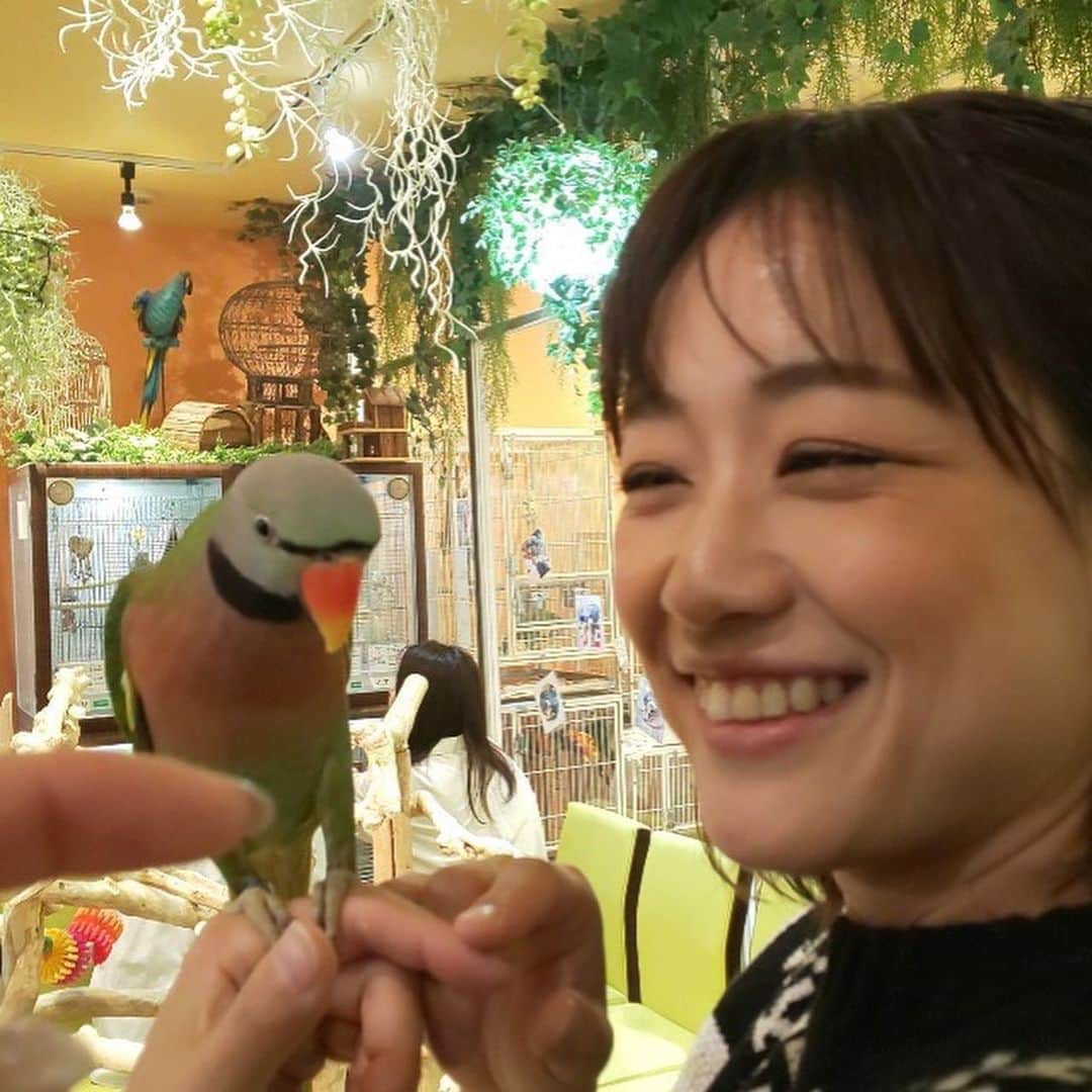 彼方茜香さんのインスタグラム写真 - (彼方茜香Instagram)「小鳥cafe♥ 初めて行ったけど、鳥とのふれあい方分からんかったーw このまゆげつながりーのヒゲ生えてるみたいな鳥がツボだった！  #名前忘れた #すごい鳴き声やった #カラフルな鳥いっぱい #たまに噛まれる #痛め」12月27日 16時50分 - serikaochikata