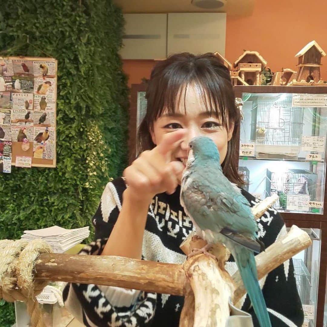 彼方茜香さんのインスタグラム写真 - (彼方茜香Instagram)「小鳥cafe♥ 初めて行ったけど、鳥とのふれあい方分からんかったーw このまゆげつながりーのヒゲ生えてるみたいな鳥がツボだった！  #名前忘れた #すごい鳴き声やった #カラフルな鳥いっぱい #たまに噛まれる #痛め」12月27日 16時50分 - serikaochikata