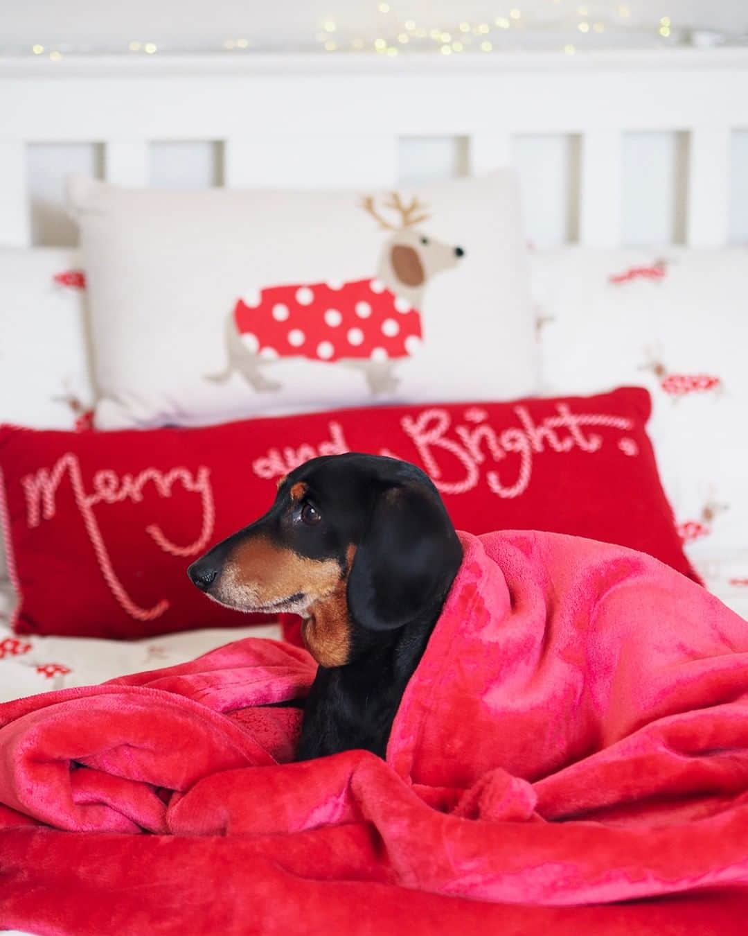ローラアシュレイのインスタグラム：「That Post-Christmas feeling 😴 These cosy days in between Christmas and New Year are our favourite time for relaxing! How are you spending yours? 📷 @milkbubbleteablog」