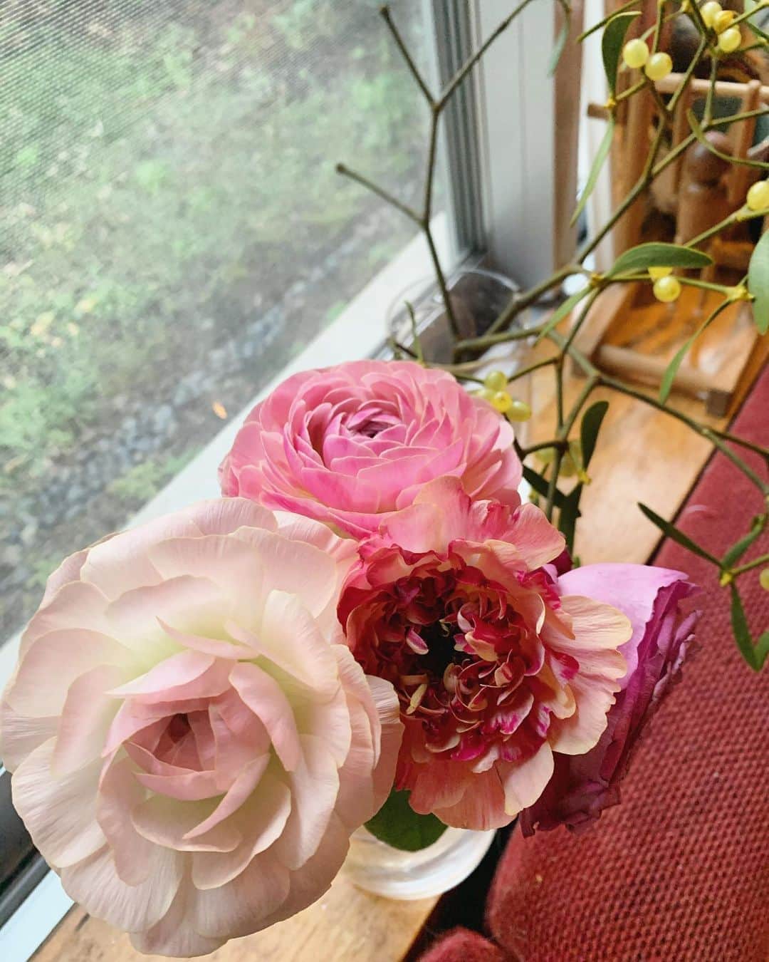 坂本美雨さんのインスタグラム写真 - (坂本美雨Instagram)「なまこセレクト はじめてなまこが可憐なお花を選んだ記念日 @the.daffodils.flowershop . . いつもはなぜか #プロテア とかごっついやつ😂」12月27日 17時43分 - miu_sakamoto