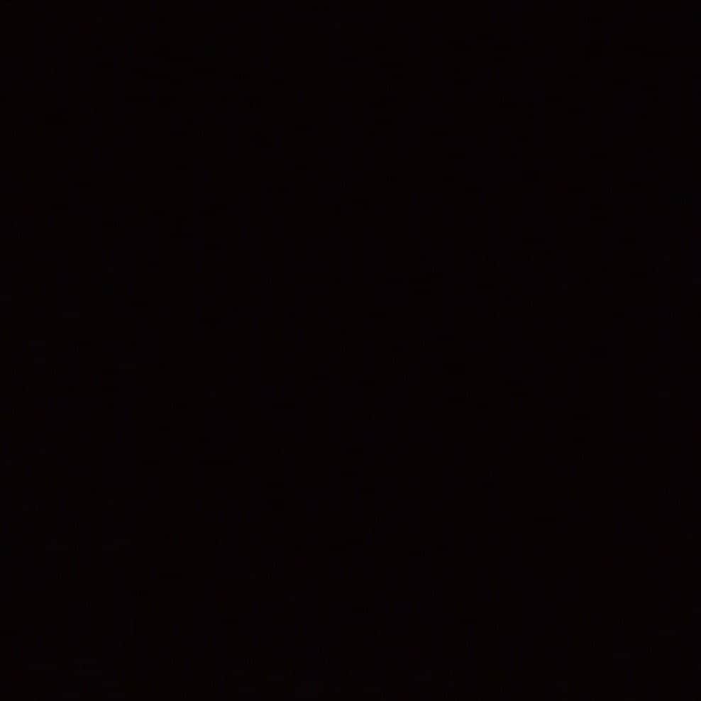 ハムのインスタグラム