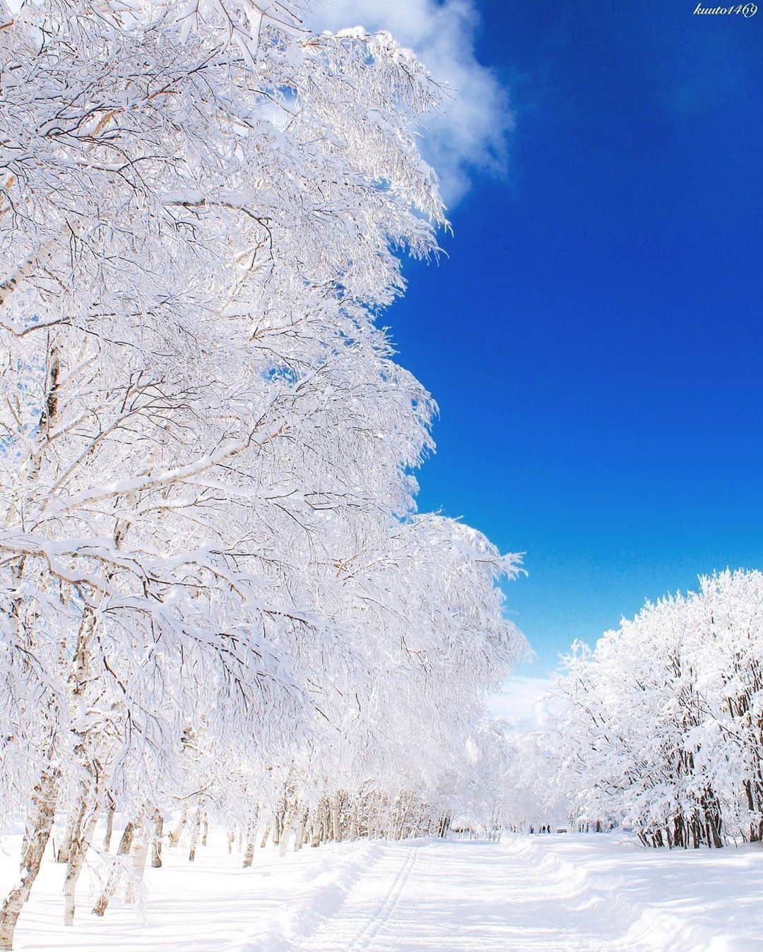 楽天トラベル さんのインスタグラム写真 - (楽天トラベル Instagram)「#山形 #蔵王 蔵王は温泉に、スキー場もある冬のおすすめ旅行スポット。 樹氷という世界でも限られた地域だけで見ることのできる自然の芸術もみられますよ。 . Special Thanks💓 📸Photo by @kuuto1469 ※こちらは過去のお写真です . ************************ 旅先で撮った素敵な写真に 場所とともに #rakutentravel を付けてシェアしてね♪ 厳選してこのアカウントで紹介させていただきます！ ************************ . #楽天トラベル #旅 #旅行 #旅に出よう #旅行好きな人と繋がりたい #日本  #冬の絶景 #雪 #travel #trip #japan #instagramjapan #IG_JAPAN #japantrip #lovetraveling #lovers_nippon  #winter #wintertrip」12月27日 18時00分 - rakutentravel