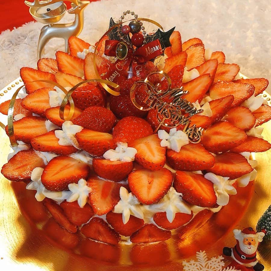 里井真由美さんのインスタグラム写真 - (里井真由美Instagram)「🍓㊗️ いちごケーキ 直径25cmほど❤️ 皆で作りましたぁー🤗❗️ ・ ・ 「めっちゃ いちご🍓」(時々、栗🌰)なケーキにしたくて4種のいちご4パック弱使ってます。 ・ ・ 中にもスライスいちごがサンドされてまーす。 ・ ・ 先日のいちごタワー作った後の、いちごを使いきりました😊🍓 ・ ・ クリスマスと友達がワインエキスパート資格合格のお祝い兼ねて♡ ・ ・ ちょっと投稿が前後してるけど12/25に撮影したものです♪ ・ ・ わたしは @fujimori_pain 「ふじ森」食パン2種を持参♡ まずは皆にそのまま食べてもらって、ラクレットチーズ焼器でちょっと焼いて食べたら最高においしい ・ ・ 「ふじ森」とモンドールのチーズとキャビアも泣きそうにおいしい😭❤️ ・ ・ 今年のクリスマスは平日だったし、会議やテレビ収録など、予定が二転三転する事も多かったからホムパ中心に過ごしていました❤️ ・ ・ @chisakohasegawa さんの手料理が、 ほんと美しくておいしい。感謝❤️ ・ ・ スポンジ生地と生クリームは、プロ料理家の @knock214 ちゃんだから間違いなくおいしい❤️ ・ ・ デコレーションは、私と千佐子さんも加わり「めっちゃいちご🍓」をテーマにアレコレと。笑。 ・ ・ あ！私は1人、栗🌰も足して、 栗スマスしてました❤️が、今回の主役 主旨はいちごなので、まずは「めっちゃいちご」のトップ画像で❤️ ・ ・ うふふ🍓😊🍓 ・ ・ #いちごケーキ #いちご#いちご🍓#苺#いちごショートケーキ#チョコレート#栗スイーツ#モンブラン#モンブラン巡り#栗#里井真由美#1級フードアナリスト里井真由美#さといいね#栗スイーツ#ありが糖運動#まゆログ#クリスマス」12月27日 18時21分 - mayumi.satoi