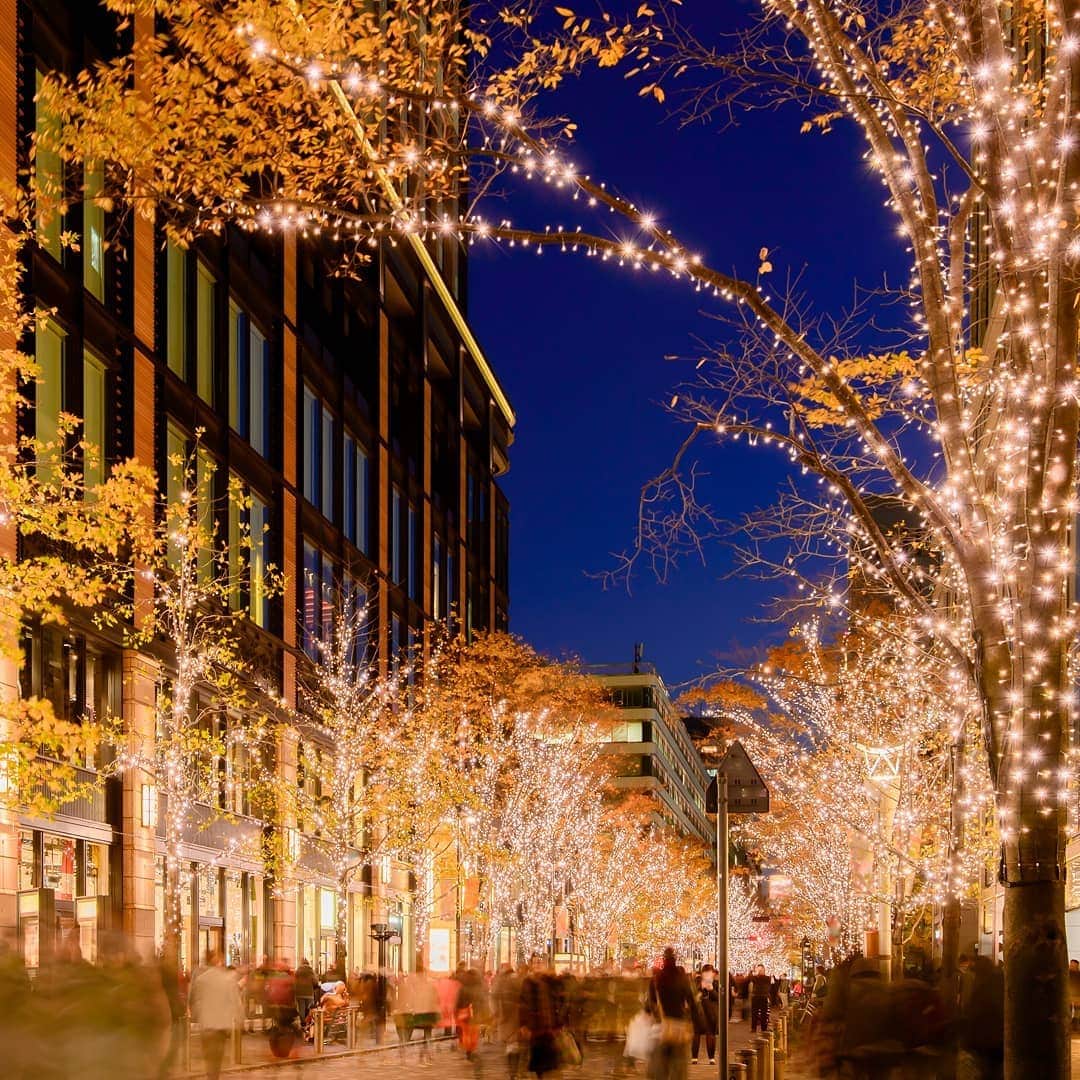 レンズアップルさんのインスタグラム写真 - (レンズアップルInstagram)「.⁣ 🎄✨東京イルミネーション特集✨🎄⁣ ⁣ 東京駅からほど近い丸の内仲通りにて⁣ 「丸の内イルミネーション2019」が開催中です。⁣ ⁣ ブランドショップ沿いの街路樹を⁣ シャンパンゴールドのLED約100万球が上品に彩ります。⁣ ⁣ シャンパンゴールドは丸の内のオリジナルカラー。⁣ ⁣ 「光のゲート」や各種イベントなども行われています。⁣ ⁣ 📌丸の内仲通り(全長約1.2kmほど)⁣ 住所：東京都千代田区丸の内(東京駅周辺)⁣ ⁣ #丸の内 #丸の内仲通り #光のゲート #丸の内イルミネーション2019 #東京イルミネーション #ライトアップ #クリスマス #christmas #🎄 #イルミネーション #イルミネーション2019 #ebisu #tokyo #tokyonight #illumination #レンズアップル #WAVE #コンタクトレンズ #コンタクト #コンタクトデビュー #カラコン #カラコンレポ #レンズアップル大宮店 #レンズアップル千葉店 #beautifulview #東京駅 #デート #デートスポット #クリスマスデート #東京デート」12月27日 18時39分 - lensapple