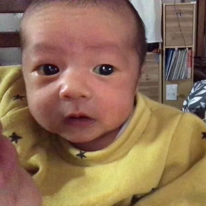 宮脇静香さんのインスタグラム写真 宮脇静香instagram 成長記録 あおさん 目が見えてきたのか 目が合うとニヤッて笑うことが 多くなりました 2枚目の動画は音声 にしてるけど お姉ちゃんが引き笑いで 笑いを誘ってて 急に冷められた画