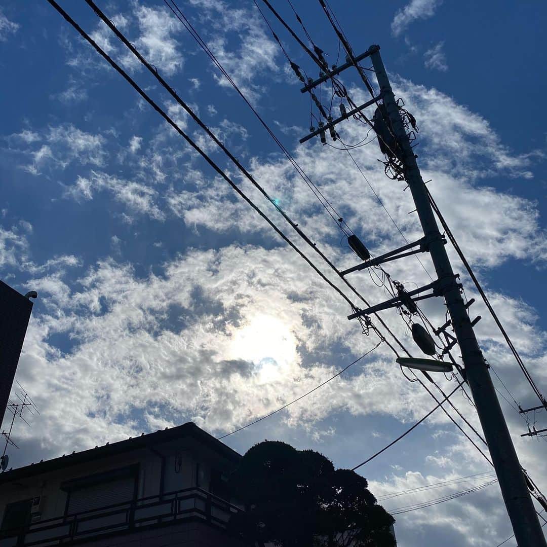 のインスタグラム：「今日のお昼のお天気は 日陰は冬っぽかったけど 日向はこれから夏がきそうな お昼なのに早朝のような へんてこな気分になった そんなふうに感じなかった？」