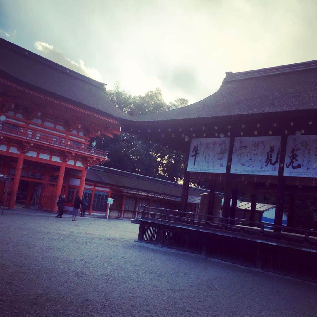 今村沙緒里のインスタグラム：「京都に来てます☺︎ 下鴨神社。 自然にあふれた良いパワー🌿 ・ I'm in Kyoto. Shrine is good power！ ・ #kyoto #shrine #energy #rebirth #京都 #下鴨神社 #自然」
