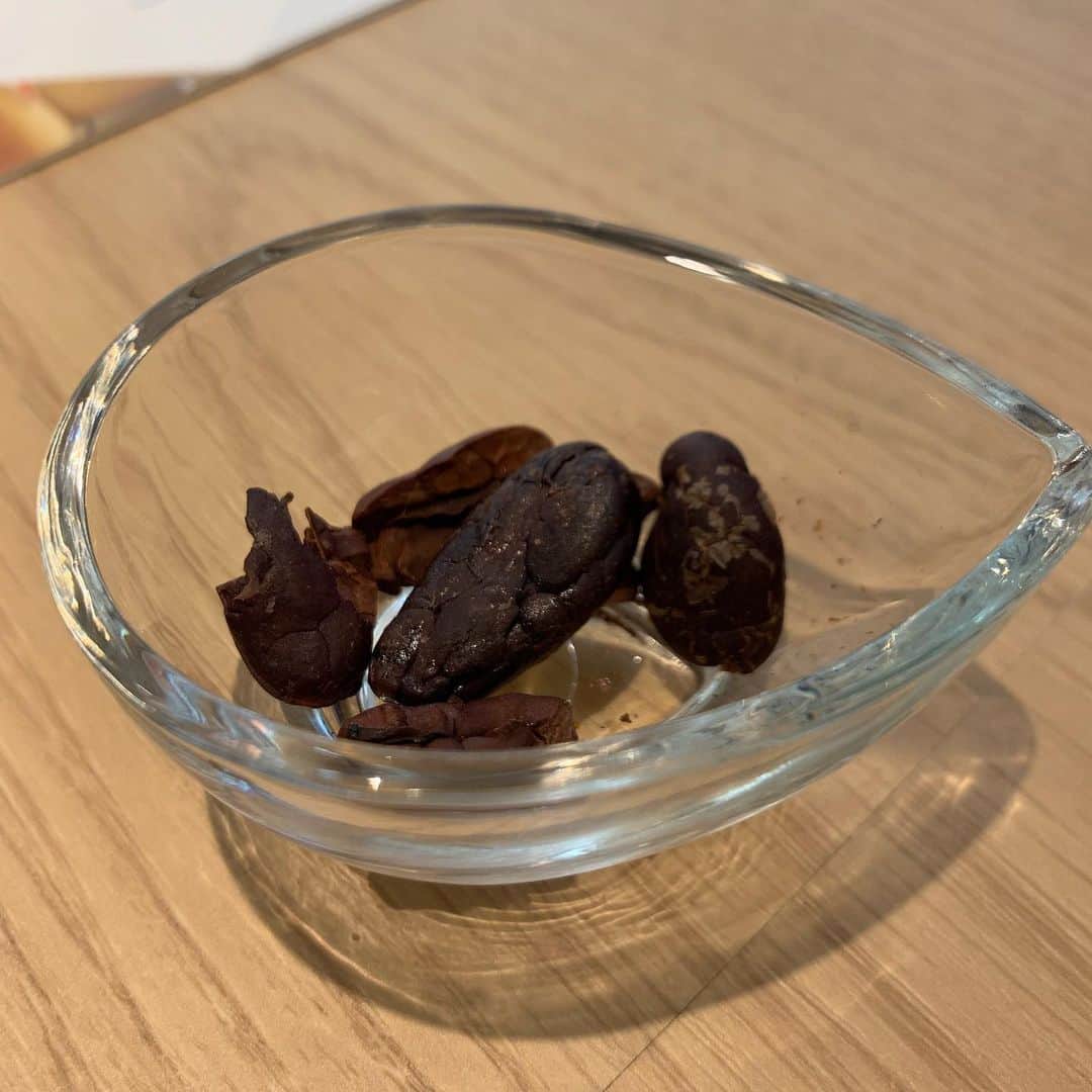 宮内ひかるさんのインスタグラム写真 - (宮内ひかるInstagram)「Ocherとカカオニブな休日🧸🌱 ． #美容 #健康 #ocher #カカオニブ #美活」12月27日 20時05分 - hii1102