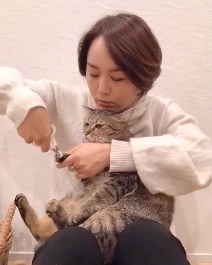 中山美香のインスタグラム