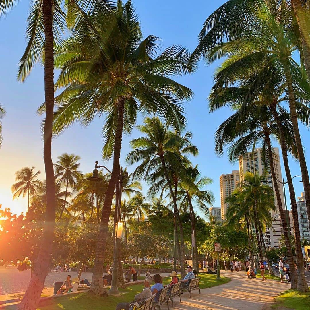 Belle Vie Hawaiiさんのインスタグラム写真 - (Belle Vie HawaiiInstagram)「2019年最後のAloha Friday🌴﻿ ﻿ 日本の皆様は﻿ すでに年末年始のお休みでしょうか。﻿ なにかと忙しい年の瀬ですが、﻿ ハッピーな週末をお過ごし下さい💕﻿ ﻿ ﻿ #belleviehawaii #hawaii﻿ #waikiki #waikikibeach﻿ #aloha #honolulu﻿ #sunset #palmtrees﻿ #oahuhawaii #oahulife﻿ #hawaiilife #honoluluhawaii﻿ #ハワイ #ベルヴィー﻿ #ハワイ旅行 #ハワイ好き﻿ #ハワイ大好き #アロハ﻿ #サンセット #夕暮れ時﻿ #ハワイ土産 #ハワイ行きたい﻿ #ハワイのお土産 #ハワイアン﻿ #ワイキキ #ワイキキビーチ﻿ #ホノルル #ハワイ生活﻿ #ハワイ好きな人と繋がりたい」12月28日 6時37分 - belleviehawaii