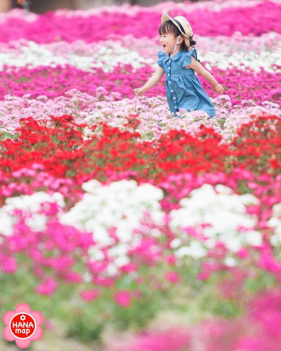 はなまっぷ❁日本の花風景のインスタグラム