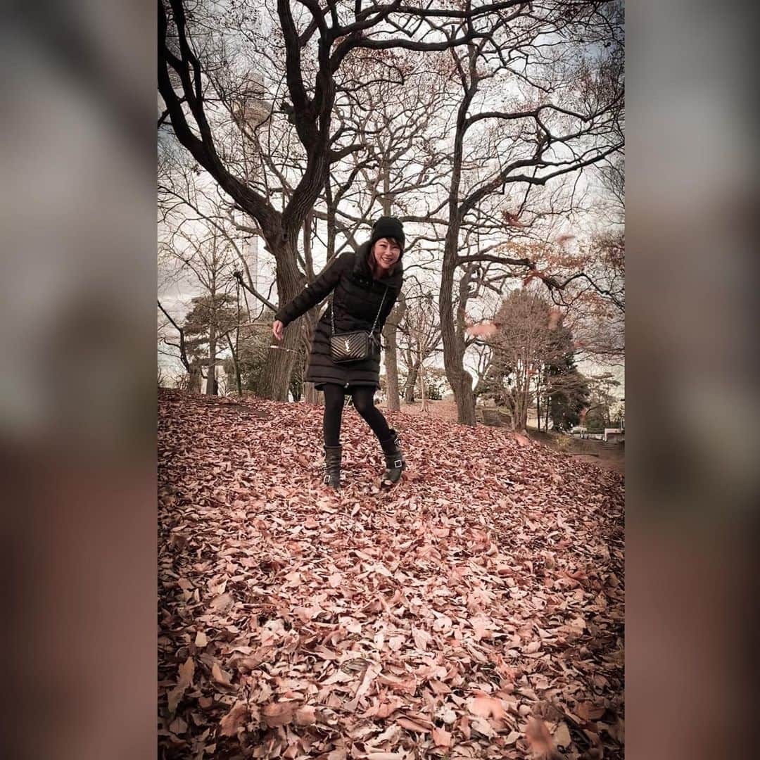 のインスタグラム：「Let's play winter❄️落ち葉の絨毯🍂🍁これが雪に変わるんだろうな〜 #でも寒いの苦手 #落ち葉 #公園 #nature #winter #inverno #冬 #fallenleaves #年末 #冬がはじまるよ #やっぱり英語表記直らず」