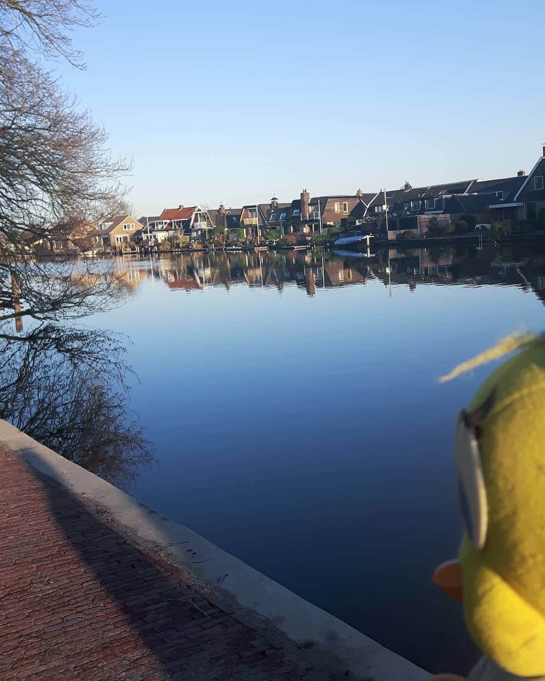 Little Yellow Birdさんのインスタグラム写真 - (Little Yellow BirdInstagram)「Walking it off... #littleyellowbird #tweety #tweetykweelapis #adventures #yellow #bird #holidays #christmas #xmas #kerst #walking #walkingitoff #loenenaandevecht #friday #december #winter #theyearisalmostover #vecht #river #riverview #bluewater #bluesky #stuffedanimalsofinstagram #plushiesofinstagram」12月27日 23時41分 - tweetykweelapis